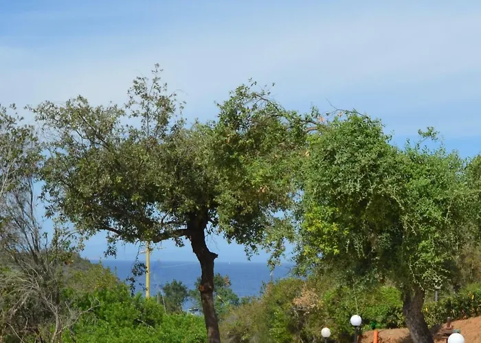 Apts. Serena By Solturelba 度假居 *