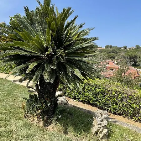 Apts. Serena By Solturelba