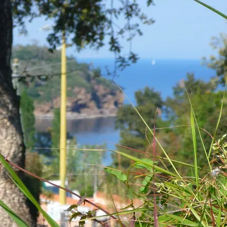 Apts. Serena By Solturelba Semesterbostad Capoliveri (Isola d'Elba)